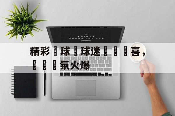 leyu-球迷冲入赛场